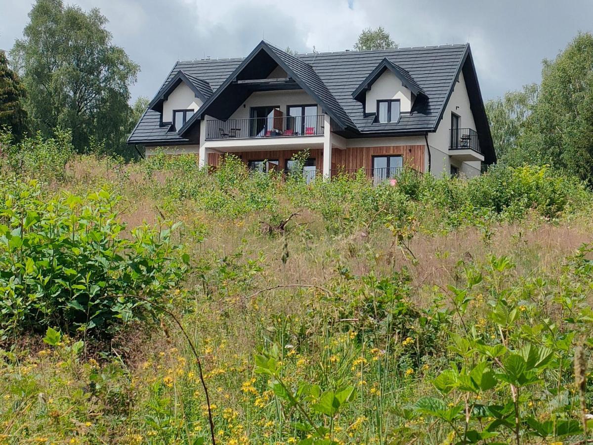 Pod Wielka Zalesiona Gora Wetlina Exterior foto